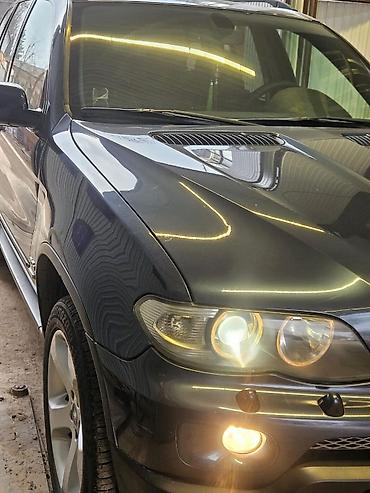BMW: BMW X5: 2006 г., 3 л, Автомат, Дизель, Внедорожник — 2