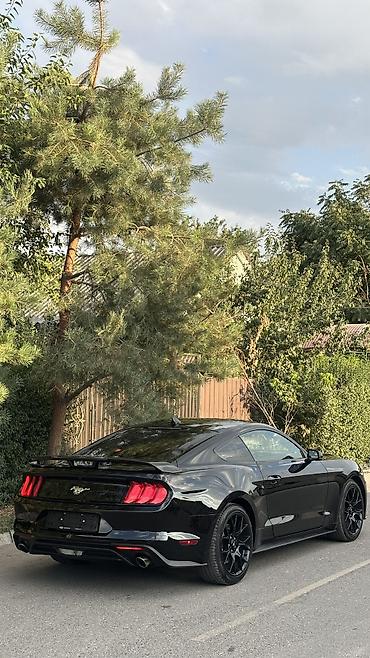 m111 2.3 kompressor купить: Ford Mustang: 2020 г., 2.3 л, Автомат, Бензин, Купе — 4