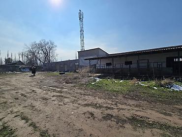 Продажа сельхоз предприятий: Продается сельскохозяйственный объект с готовыми капитальными — 4