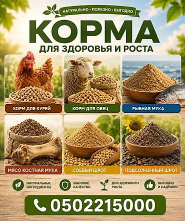 Корма для здоровья и роста животных и птицы. Ассортимент: - Корм для
