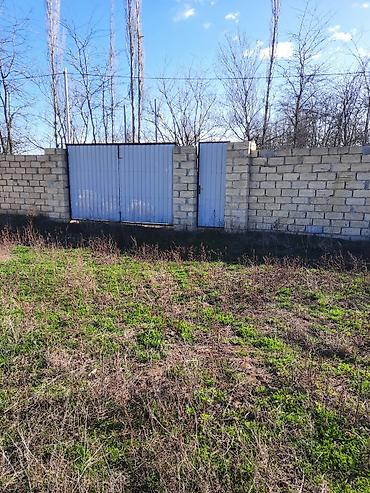 gen: 10 sot, Tikinti, Mülkiyyətçi, Kupça (Çıxarış) — 3
