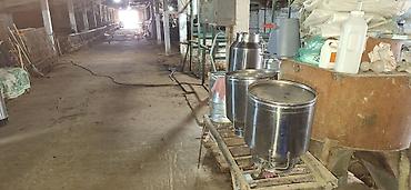 Товары и оборудование для с/х животных: Нужен скотник и доярка — 1