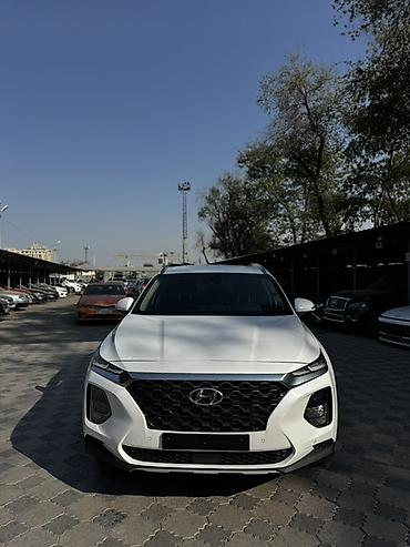 daf 75: Hyundai Santa Fe: 2019 г., 2 л, Автомат, Дизель, Кроссовер — 2