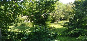 Torpaq sahələrinin satışı: 10 sot, Tikinti, Mülkiyyətçi, Kupça (Çıxarış) — 21