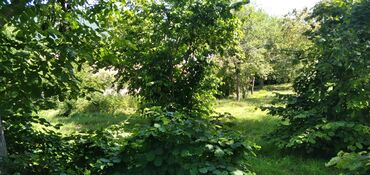 Torpaq sahələrinin satışı: 10 sot, Tikinti, Mülkiyyətçi, Kupça (Çıxarış) — 20