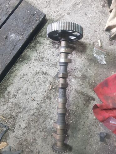 Коллекторы: Коллектор — 13