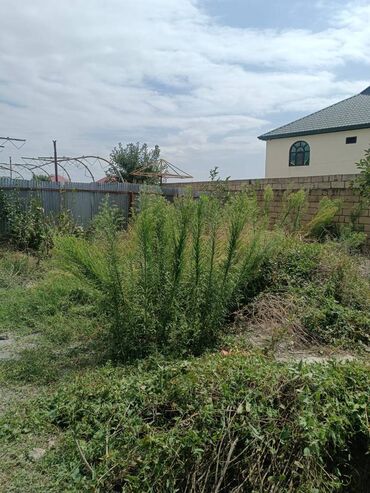 Həyət evləri və villaların satışı: 3 otaqlı, 50 kv. m, Orta təmir -da lalafo.az — 10 Həyət evləri və villaların satışı: 3 otaqlı, 50 kv. m, Orta təmir — 10