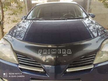 форестер спорт: Nissan Primera: 2003 г., 1.8 л, Механика, Бензин, Седан