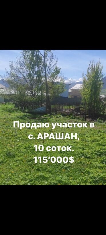 земельный участок в караколе: 10 соток, Для строительства, Красная книга