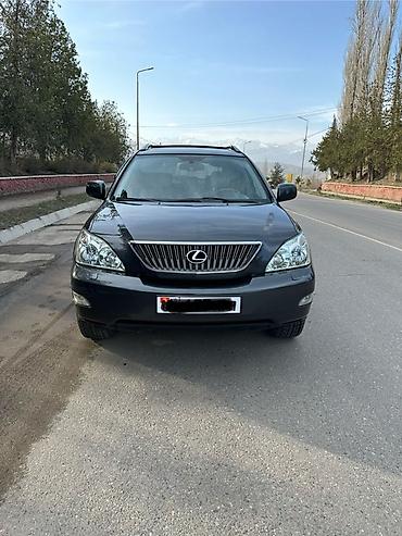 Lexus: Lexus RX: 2004 г., 3.3 л, Автомат, Бензин, Кроссовер — 14