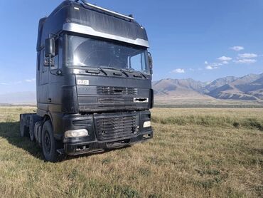 рамка для процессора: Сүйрөгүч, DAF, 2003 г., Контейнер ташыгыч