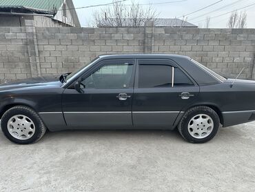 Mercedes-Benz: Mercedes-Benz E-Class: 1992 г., 2.5 л, Механика, Дизель, Седан
