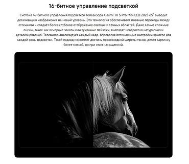 dvd recorder: Xiaomi TV S Pro Mini LED 2025 65 Очень крутой Б/У телевизор Есть — 6