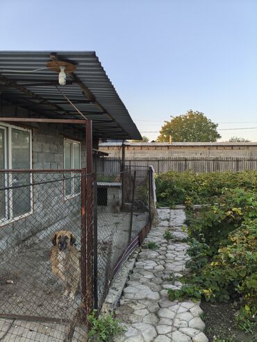 Продажа домов: Дом, 70 м², 4 комнаты, Собственник, Косметический ремонт — 5