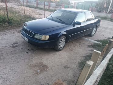 сумка на крышу автомобиля: Audi A6: 1994 г., 2 л, Механика, Бензин, Седан