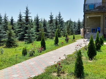 сдаю комнату рабочий городок: 3 бөлмө, Душ кабинасы, Жаздык, жууркан-төшөк каптары, Тиричилик техникасы