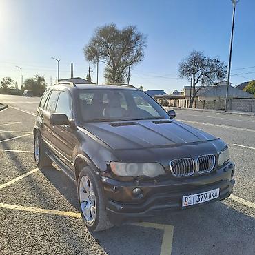 350 rx 2010: BMW X5: 2003 г., 3 л, Автомат, Дизель, Кроссовер — 5