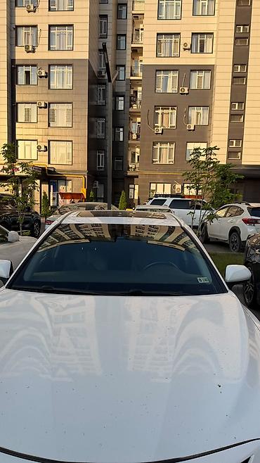 camry 55 exclusive: Toyota Camry: 2018 г., Автомат, Седан — 3