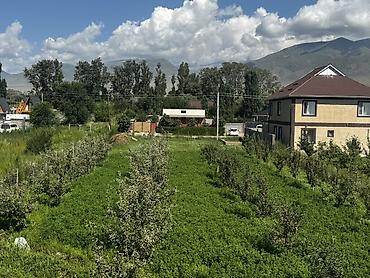 talisman village: 10 соток, Красная книга — 1