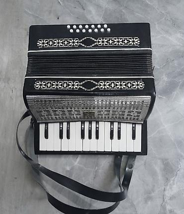 Akustik Akkordeon, İşlənmiş