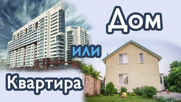 купить замиокулькас in Кыргызстан | ДРУГИЕ КОМНАТНЫЕ РАСТЕНИЯ: 2 комнаты, 1 кв. м, Без мебели