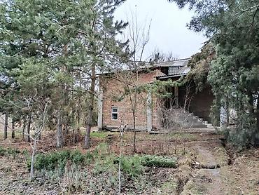 Продажа участков: 6 соток, Для строительства, Тех паспорт, Договор купли-продажи, Красная книга — 11