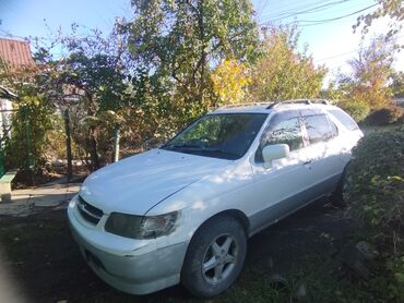 Nissan: Nissan R Nessa: 1997 г., 2.4 л, Автомат, Бензин, Кроссовер