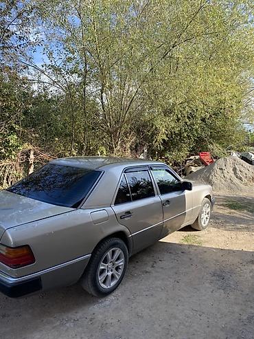 evo 2: Mercedes-Benz E-Class: 1990 г., 2.3 л, Механика, Бензин, Седан — 2