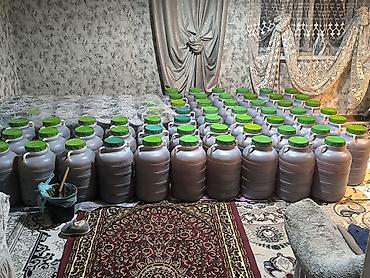 Бал: Домашний мед в больших пластиковых канистрах с винтовыми крышками. - — 1
