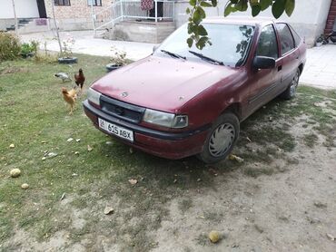 авто росрочку: Opel Vectra: 1996 г., 1.6 л, Механика, Бензин, Универсал