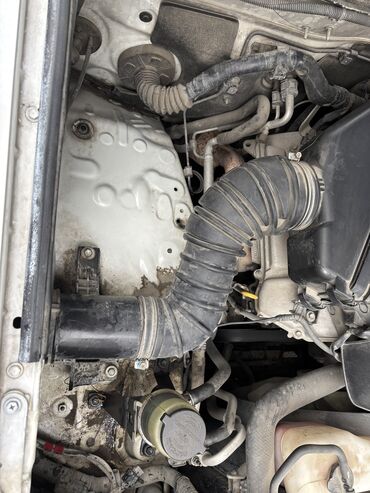 Toyota: Toyota Land Cruiser Prado: 4 l | 2006 il — 12