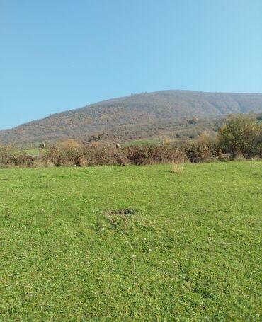 Torpaq sahələrinin satışı: 15 sot, Tikinti, Maklerlər narahat etməsin — 11