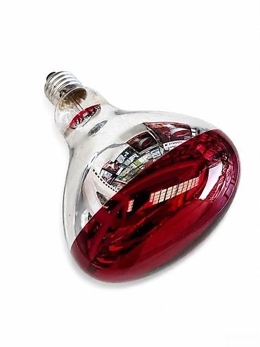 cuce sekilleri: İnfraqırmızı Lampa 250W İlməzli R80 – Maksimum Güclü Qızdırıcı (Yeni) — 5
