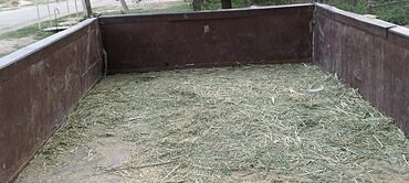 купить фуру с прицепом бу: Прицеп, Самосвал, Б/у