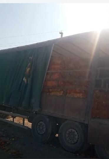 Жашылчалар: Срочно Продается прицеп
2003 года рабочий 
Сав гусак
100 кубовый — 1