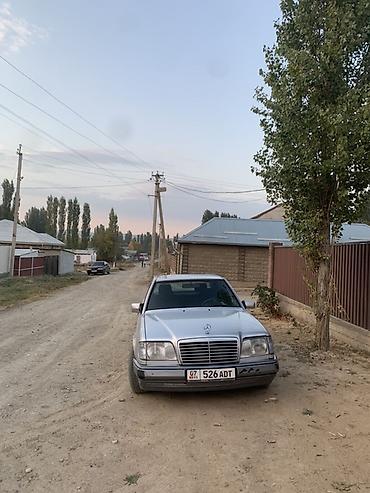 Mercedes-Benz W124: 1994 г., 2.2 л, Механика, Бензин, Седан