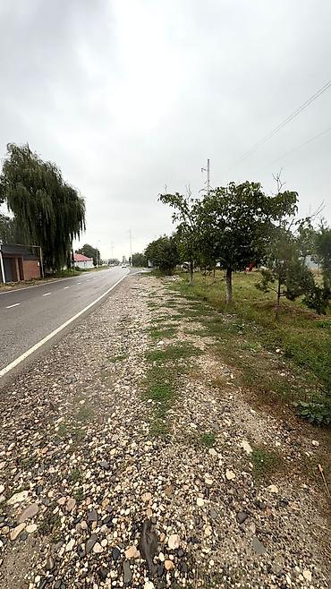 bülbülə torpaq: 11 sot, Biznes üçün, Mülkiyyətçi, Kupça (Çıxarış) — 1