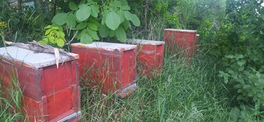 все для дома и сада: Удобства для дома и сада