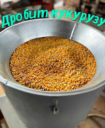 бир: Чөп майдалагыч, Бир фазалуу 220 В, Жаңы — 6