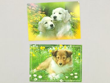 Postcard, condition - Perfect