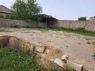 Torpaq sahələrinin satışı: 3 sot, Bələdiyyə -da lalafo.az — 5 Torpaq sahələrinin satışı: 3 sot, Bələdiyyə — 5