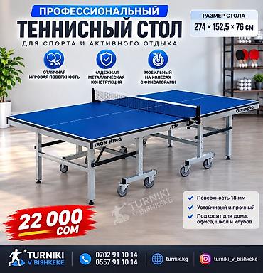 Профессиональный теннисный стол для спорта и активного отдыха