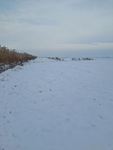 Продажа участков: 20 соток, Для сельского хозяйства, Красная книга, Тех паспорт — 4