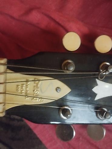 ernie ball: Гитара.грасон.G.150.класик — 1