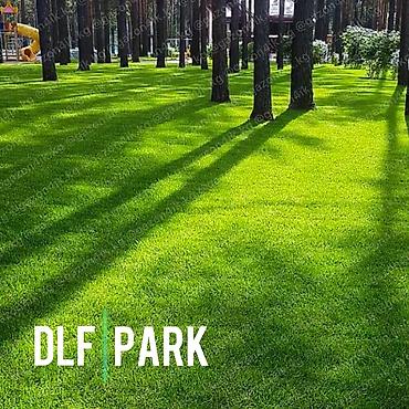 🌱Теневой газон PARK - для участков где из-за отсутствия попадания lalafo.kg да — 8 🌱Теневой газон PARK - для участков где из-за отсутствия попадания — 8