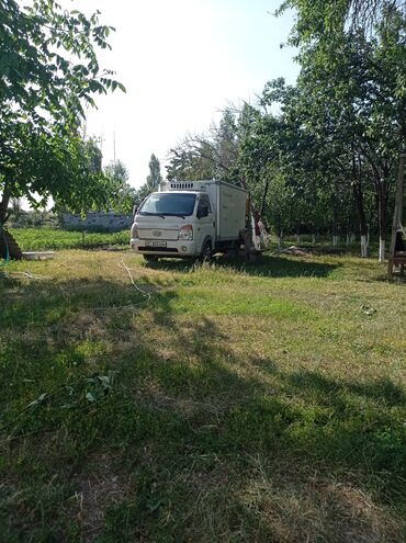 пресс подбошик: Легкий грузовик, Hyundai, Стандарт, До 1 т
