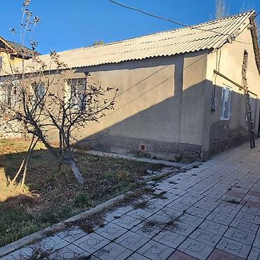 Продажа коттеджей и домов: Продается частный дом с дворовой территорией и хозяйственными — 3