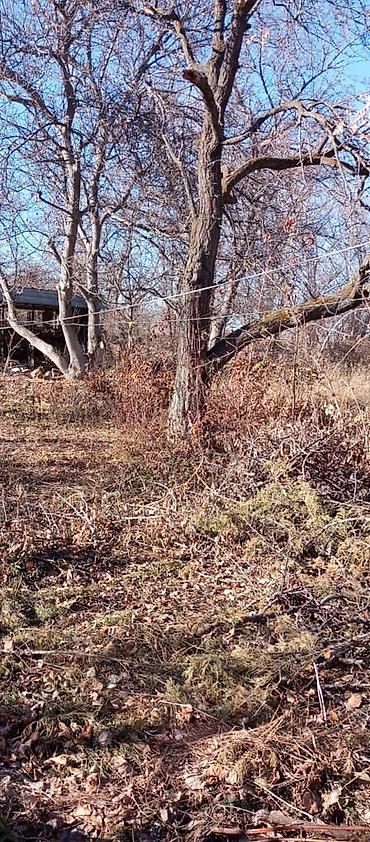 Продажа участков: 12 соток, Красная книга — 3