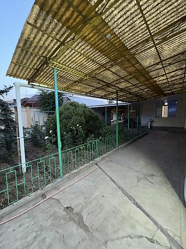 большой дом: 256 м², 6 комнат и более — 5