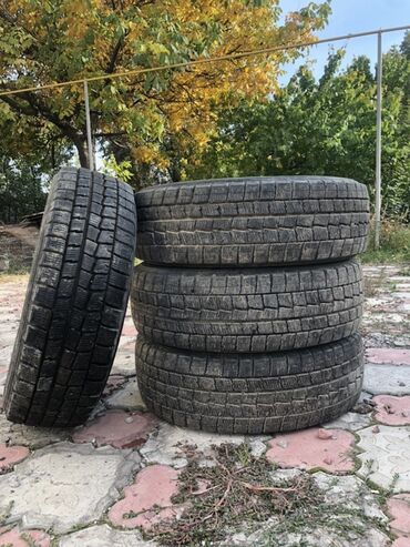 купить шины р16: Шиналар 175 / 65 / R 14, Кыш, Комплект, Жеңил унаалар, Dunlop